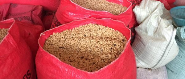 Panama Boquete La Gloria Estate-12oz Whole Bean